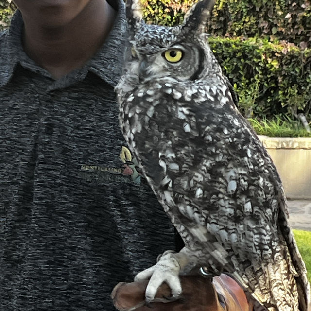 Montecasino: A Perfect Family Day Out!