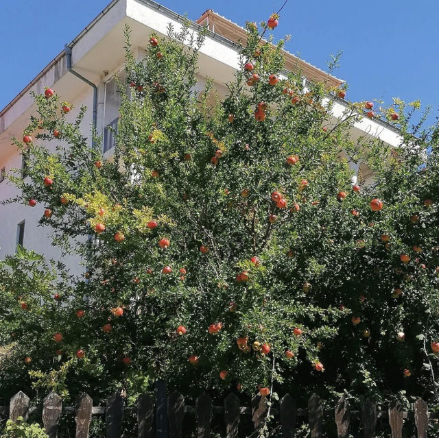 Sveti Vlas 🇧🇬