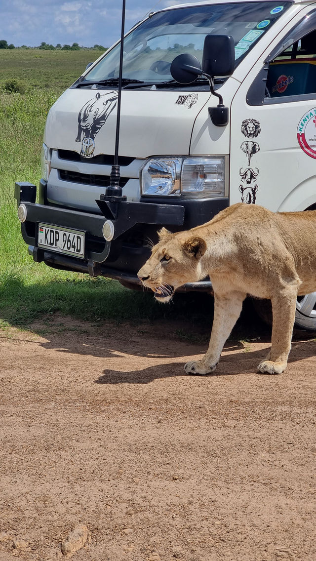 Exploring Nairobi: A Perfect Blend of Adventure, Culture, and Cuisine