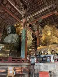 NARA, JAPAN: MY UNFORGETTABLE DAY AMONG DEERS AND TEMPLES 