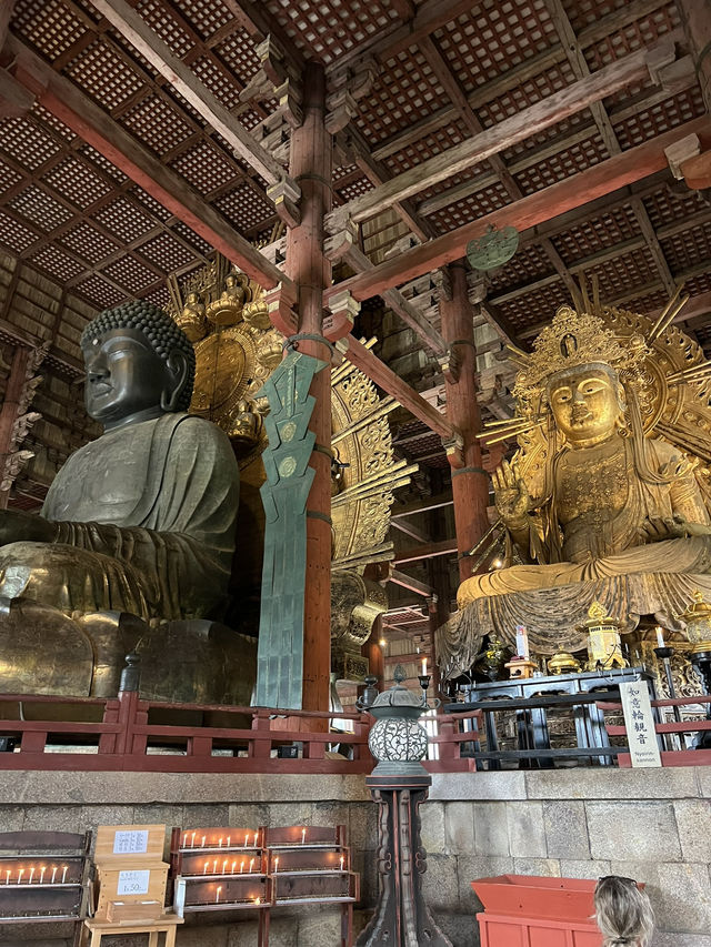 NARA, JAPAN: MY UNFORGETTABLE DAY AMONG DEERS AND TEMPLES 