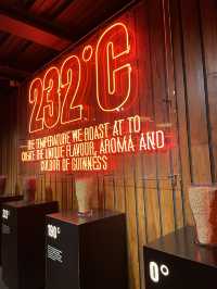 Discover Dublin: A City of Stories, Pubs, and Hidden Gems