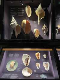 🇨🇿布拉格國家博物館 （Národní muzeum）