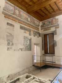 Exquisite Exhibition Rooms