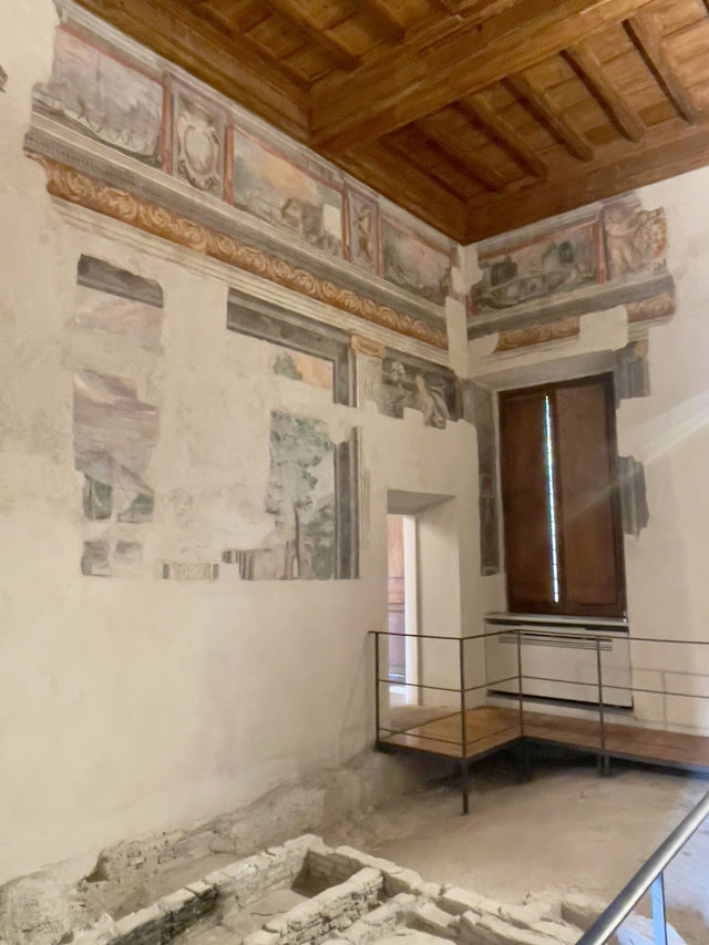 Exquisite Exhibition Rooms
