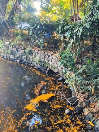 Hidden Gem | Chinese Garden, Manila