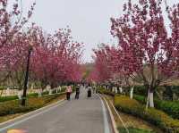 Zhongshan Park