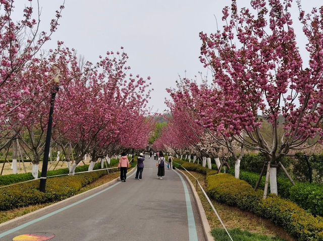 Zhongshan Park