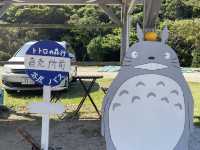 Itsoshima’s best kept secret… Totoro Forest 🌳 