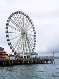 Space Needle & The Seattle Eye,  the city from above