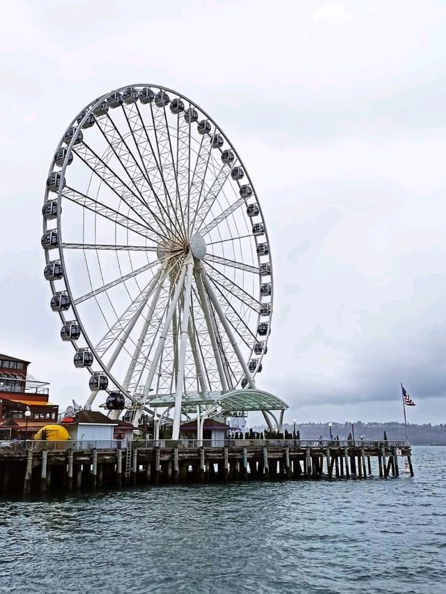 Space Needle & The Seattle Eye,  the city from above