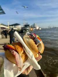 🇩🇪✨ Hamburg Tour Guide & Review