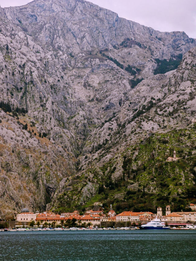 🚗💸 Ride Sharing Around Montenegro