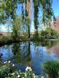 🎨 Giverny Garden: Monet’s Masterpiece in Bloom 🌸