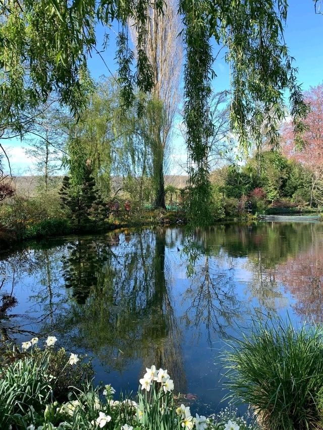 🎨 Giverny Garden: Monet’s Masterpiece in Bloom 🌸