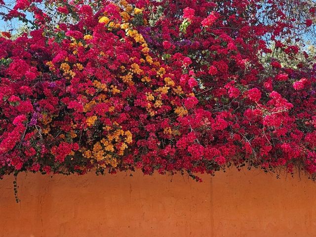 Marrakech❤️