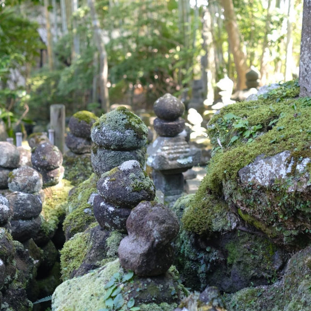 Discover Tokyo’s Green Escape: Parks & Hidden Nature