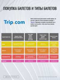 Shanghai Disneyland: полный гид для идеального посещения