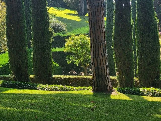 🌿✨ Jardines de Santa Clotilde: Half-Day Paradise! 🌊🏛️