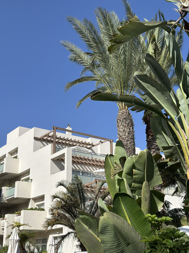 🌴 Maspalomas Princess Hotel Review