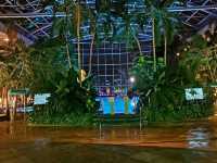 Therme București: Europe's Wellness Paradise