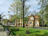 Zielona Góra, Poland: Poland's Northernmost Wine Capital with Over 700 Years of Viticulture