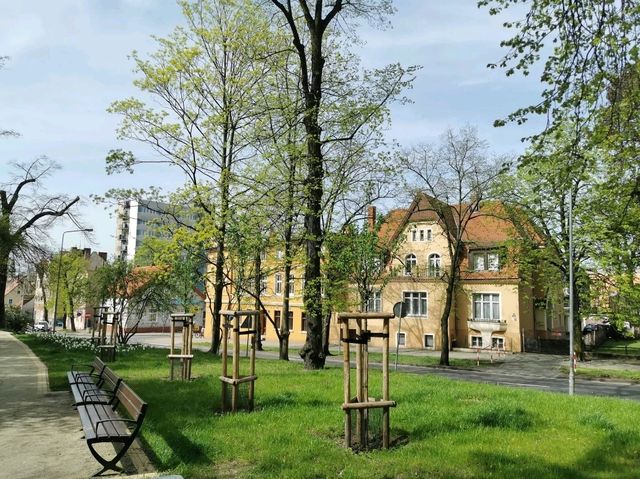 Zielona Góra, Poland: Poland's Northernmost Wine Capital with Over 700 Years of Viticulture Zielona Góra, Poland: Poland's Northernmost Wine Capital with Over 700 Years of Viticulture