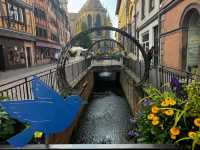 Colmar Dreamland🌈