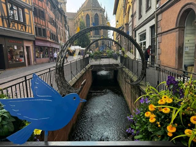 Colmar Dreamland🌈