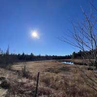 Algonquin Provincial Park