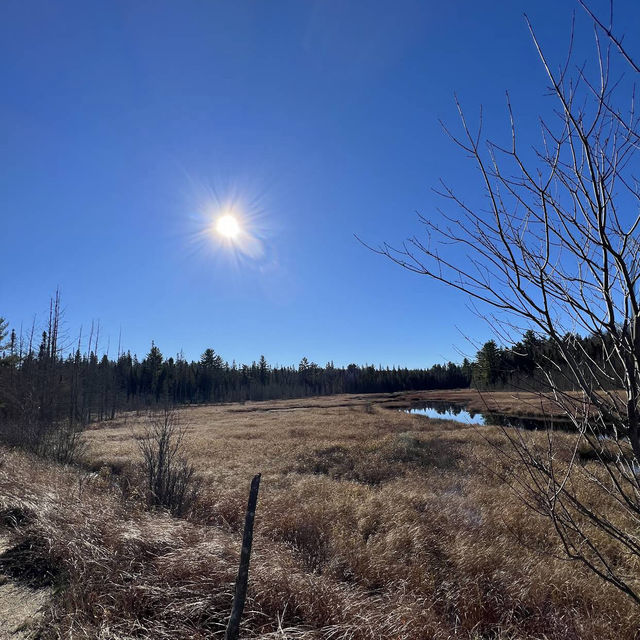 Algonquin Provincial Park Algonquin Provincial Park