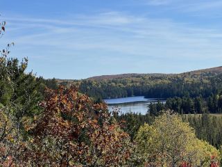 Algonquin Provincial Park