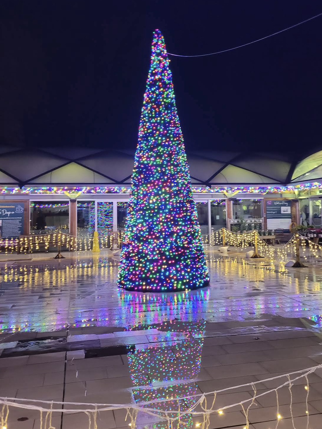 阿尼克花園的冬夜靜謐而迷人。 🎄✨🌲