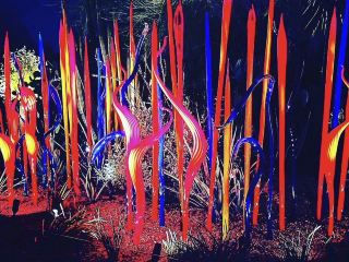 Nighttime Reflections and Photography  🌵📸✨