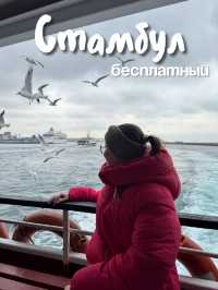 Стамбул - это не только платные музеи и бесконечный шопинг