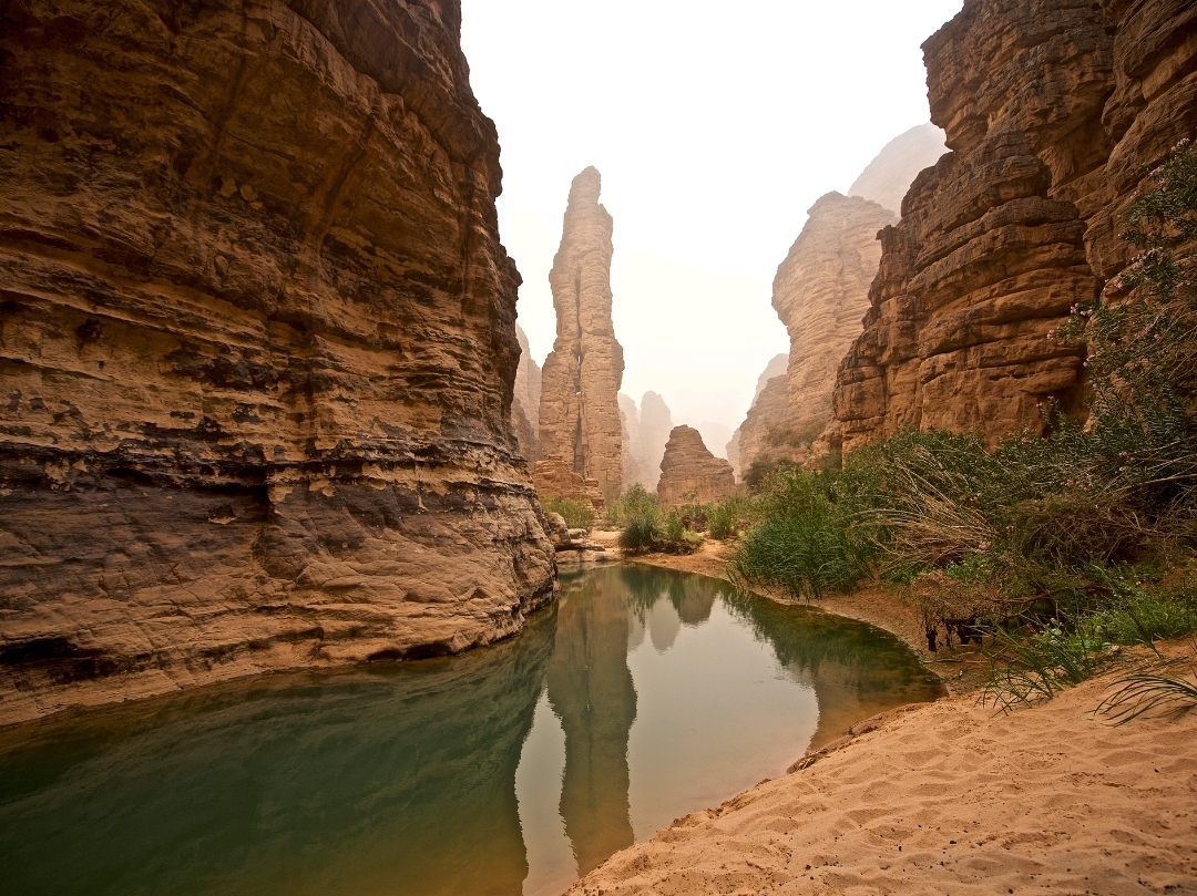 One of the amazing desert