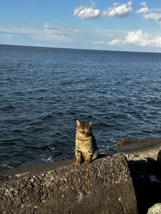 Şile: A Little Escape from Istanbul