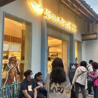 貓的天空之城書店（甘坑客家古鎮內）