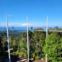 A Forest Adventure: The Habitat at Penang Hill 🌳🐦🌺