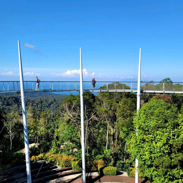 A Forest Adventure: The Habitat at Penang Hill 🌳🐦🌺