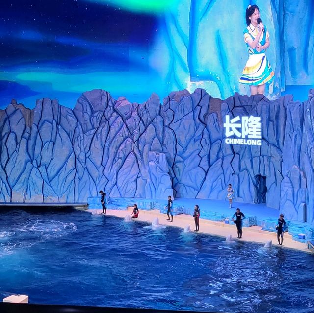 珠海長隆必到的主題樂園