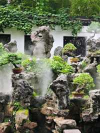 The Crown of Beauty in Southeast China