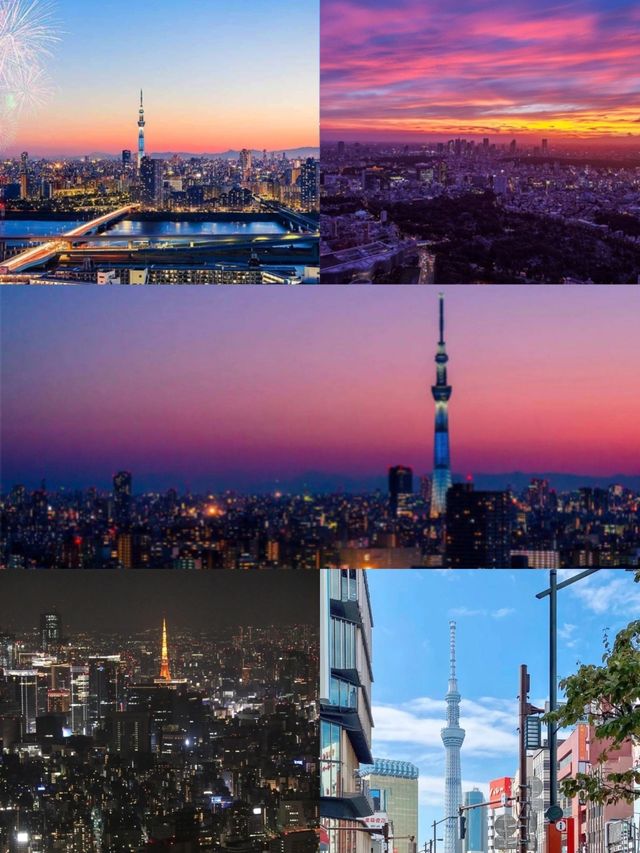 Tokyo's best night view shooting location 🌃 Check in for stunning sunset and night views! |||