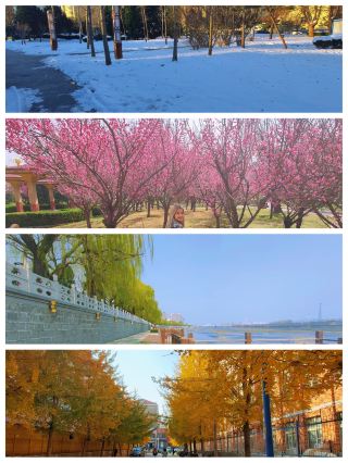 🌞🌸🍂❄️ 허빈 로드를 따라가는 나의 사계절