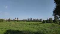 哈爾濱文化中心濕地公園