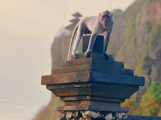 🌅 sunset in Uluwatu Temple, Bali Indonesia