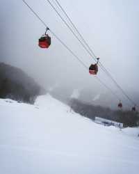 亞布力滑雪：哈爾濱冬天的快樂