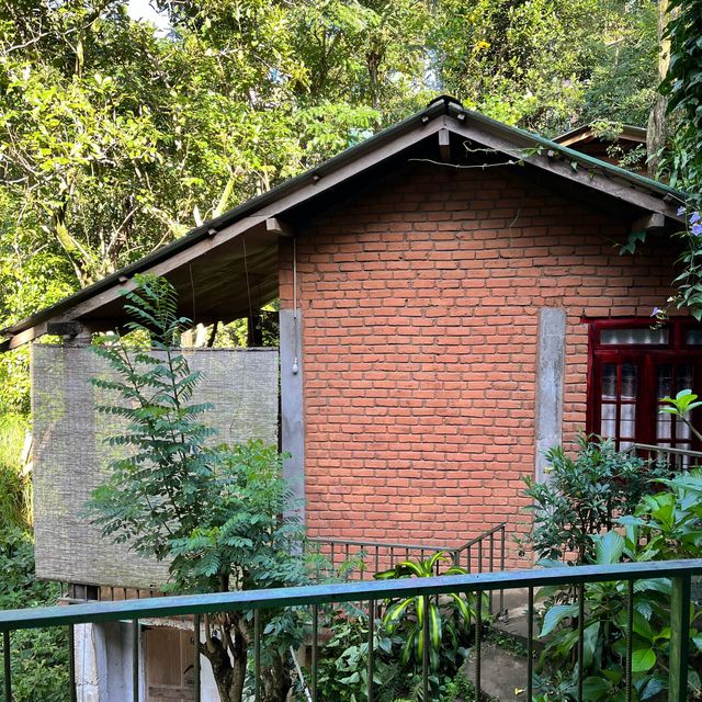 Rainforest cabins in Sri Lanka