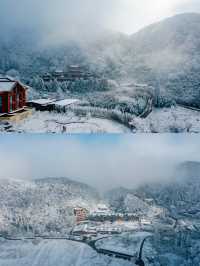 滑雪季 | 南方私藏的林海雪原被我找到了！