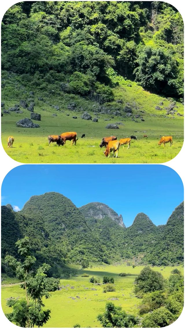 柳州  響水石林｜柳版小新疆